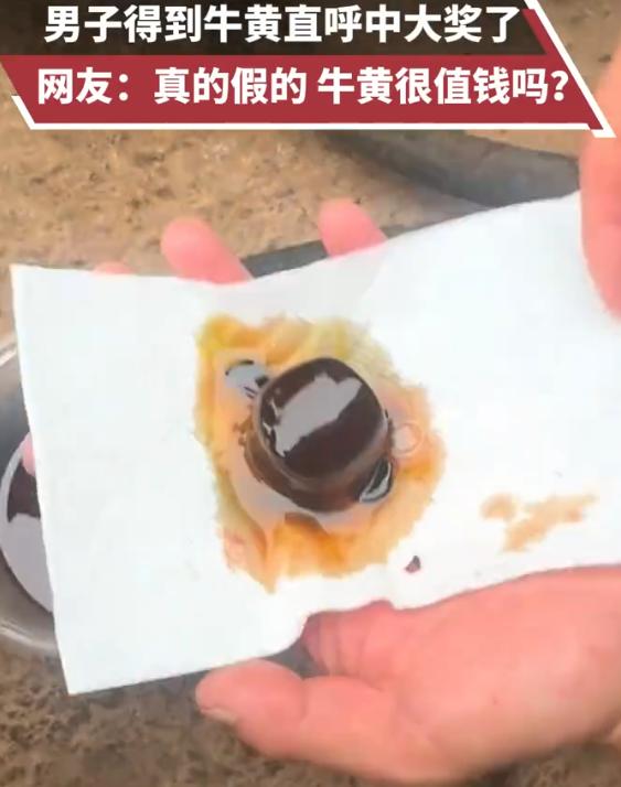 云南，一男子处理牛内脏随手翻出个不起眼硬块，本以为是没用的饲料渣，结果竟是比黄金