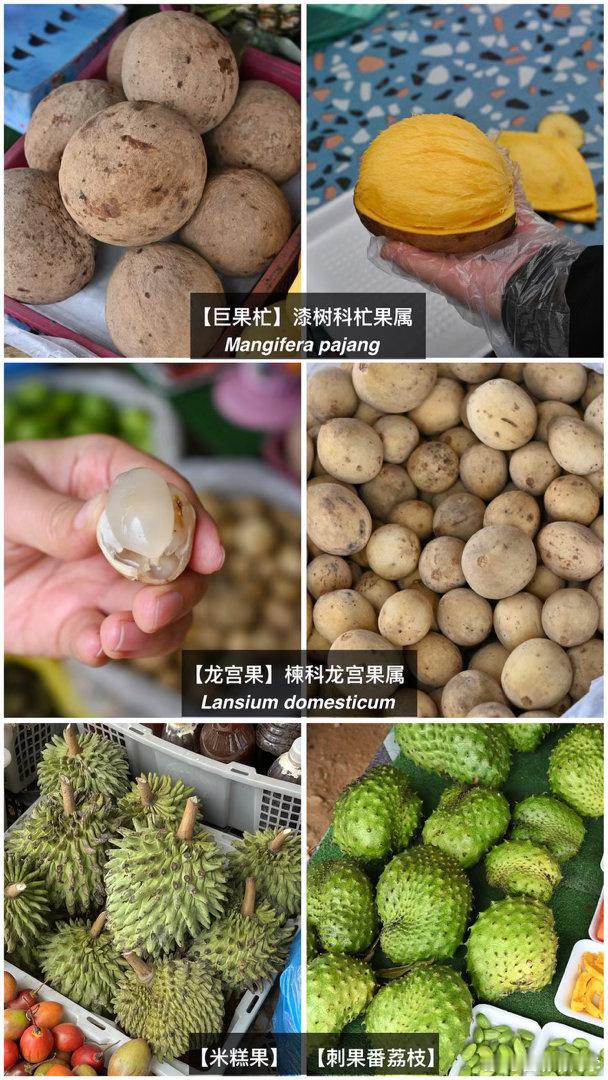 记录下【马来西亚】水果摊上常见的13种水果 南京