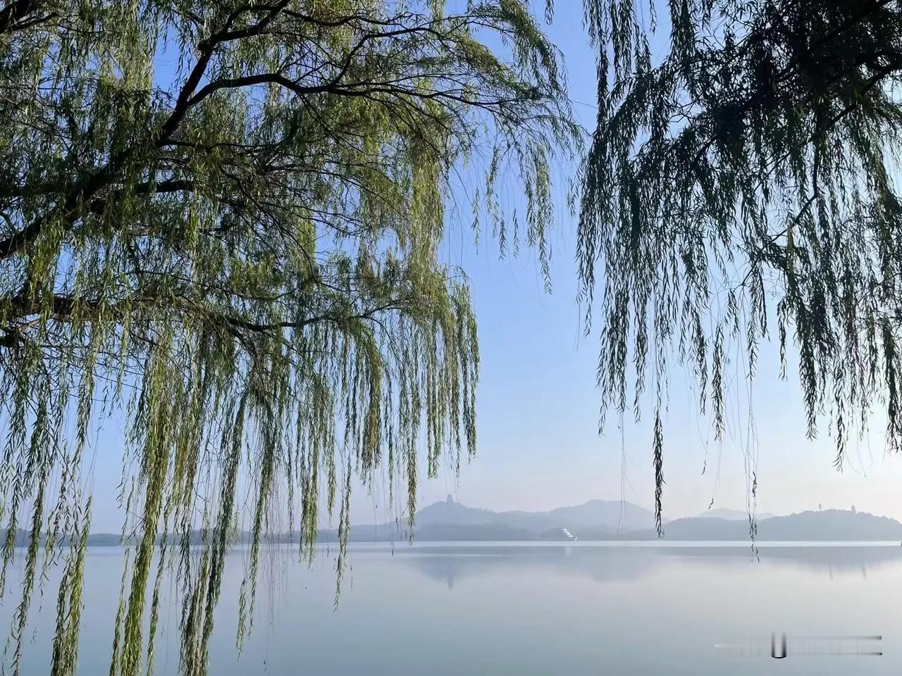 猫，喜欢吃鱼，可惜猫不会游泳。鱼，喜欢吃蚯蚓，可鱼又不能上岸。老天爷给了你很多诱