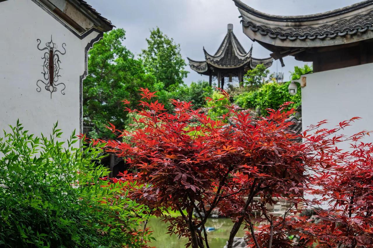 南京芥子园。南京芥子园中式美学园林 园林独有的东方美学 诗意的园林 邂逅江南园林