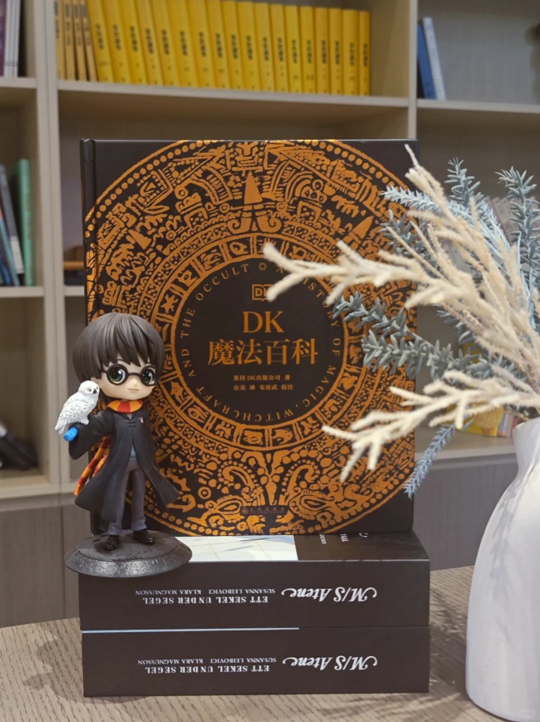 霍格沃茨学院必修课程，带你漫游魔法世界