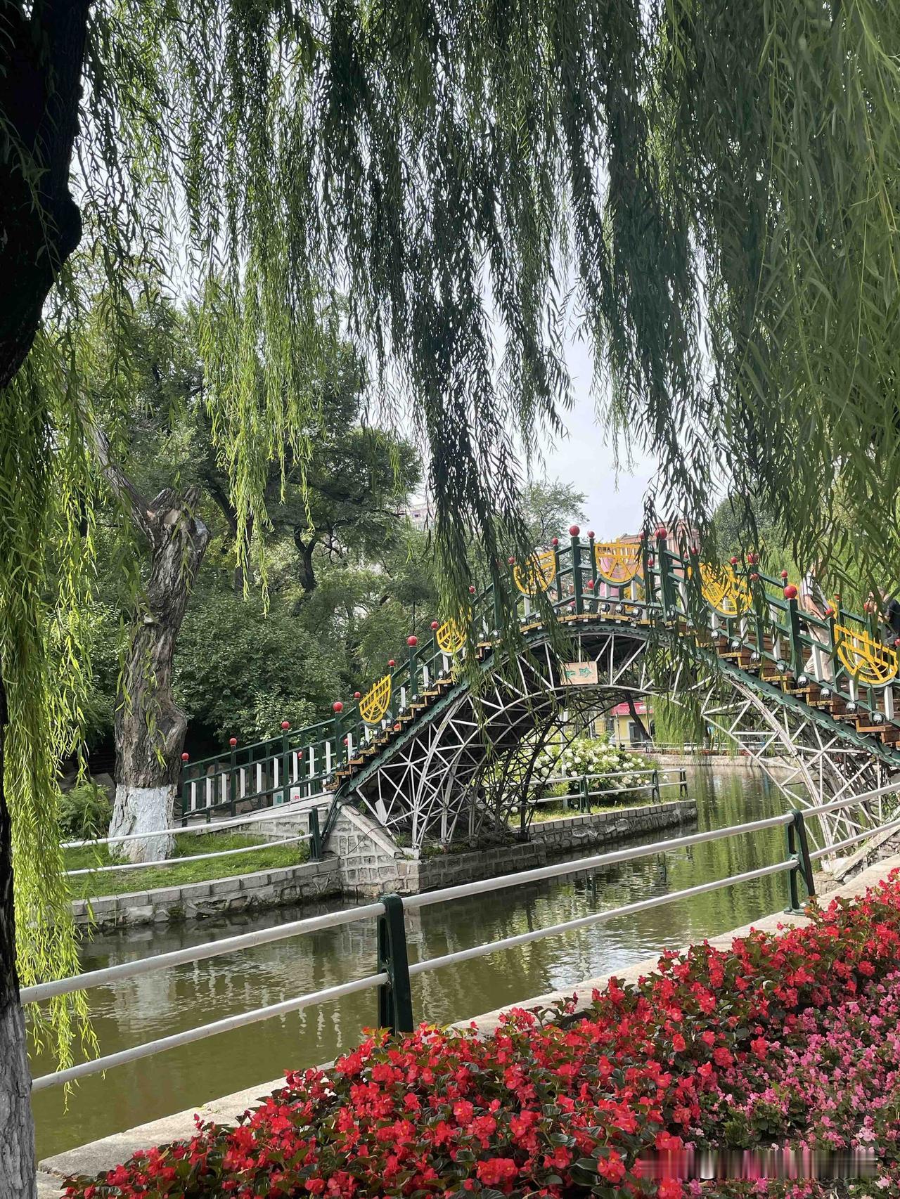哈尔滨江边“兆麟公园”，一个近水楼台先得月的好地方。

今天打开手机看相册，发现