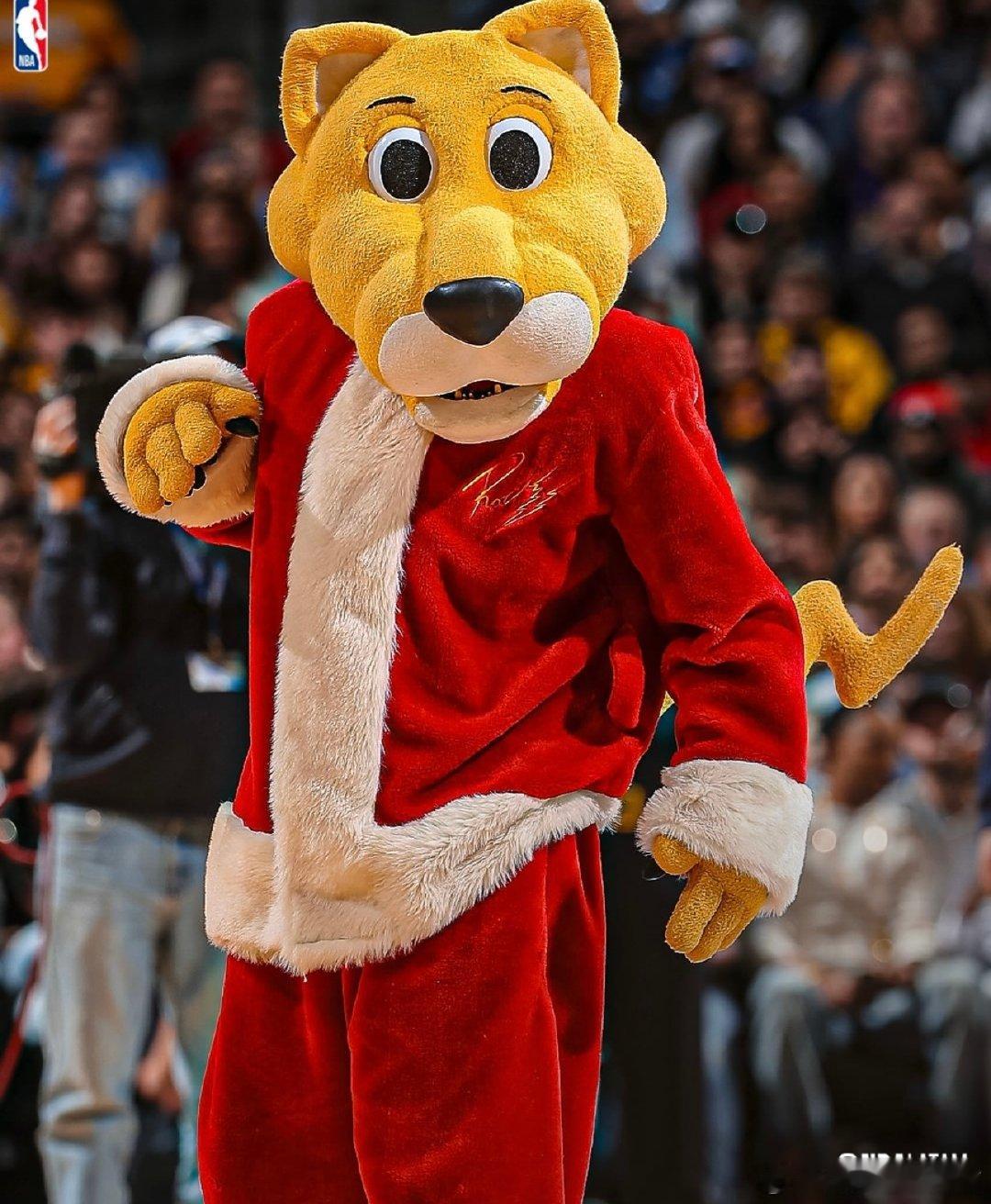 NBA球队吉祥物，张灯结彩的圣诞装扮~Images via nbalatam  