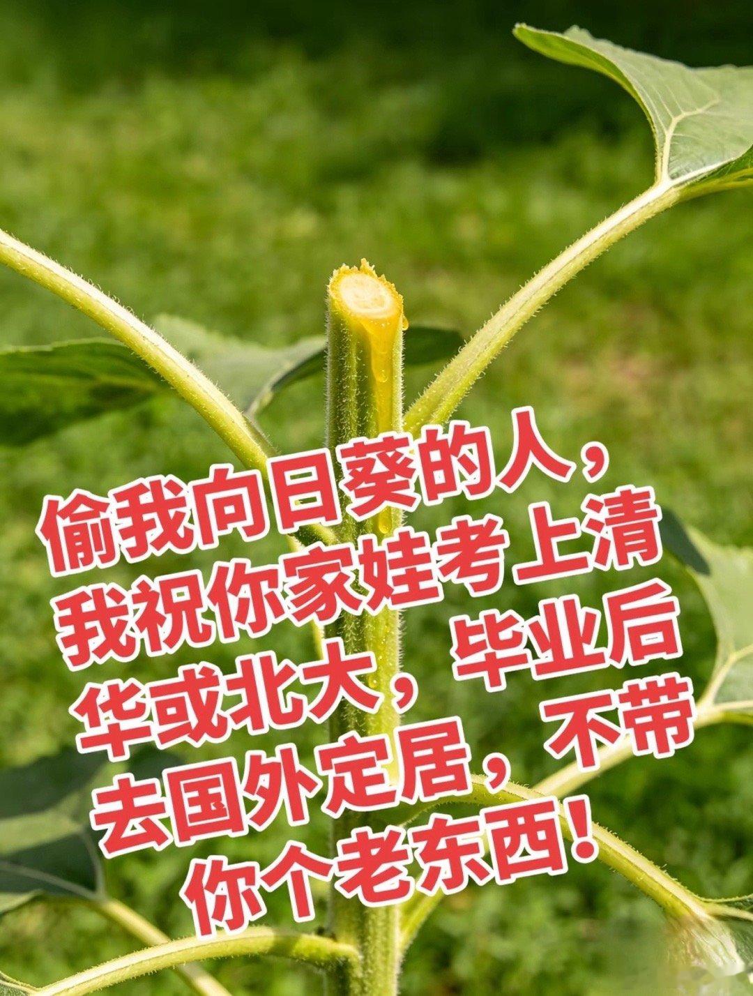 哈哈哈哈哈哈😂😂高考生们加油 