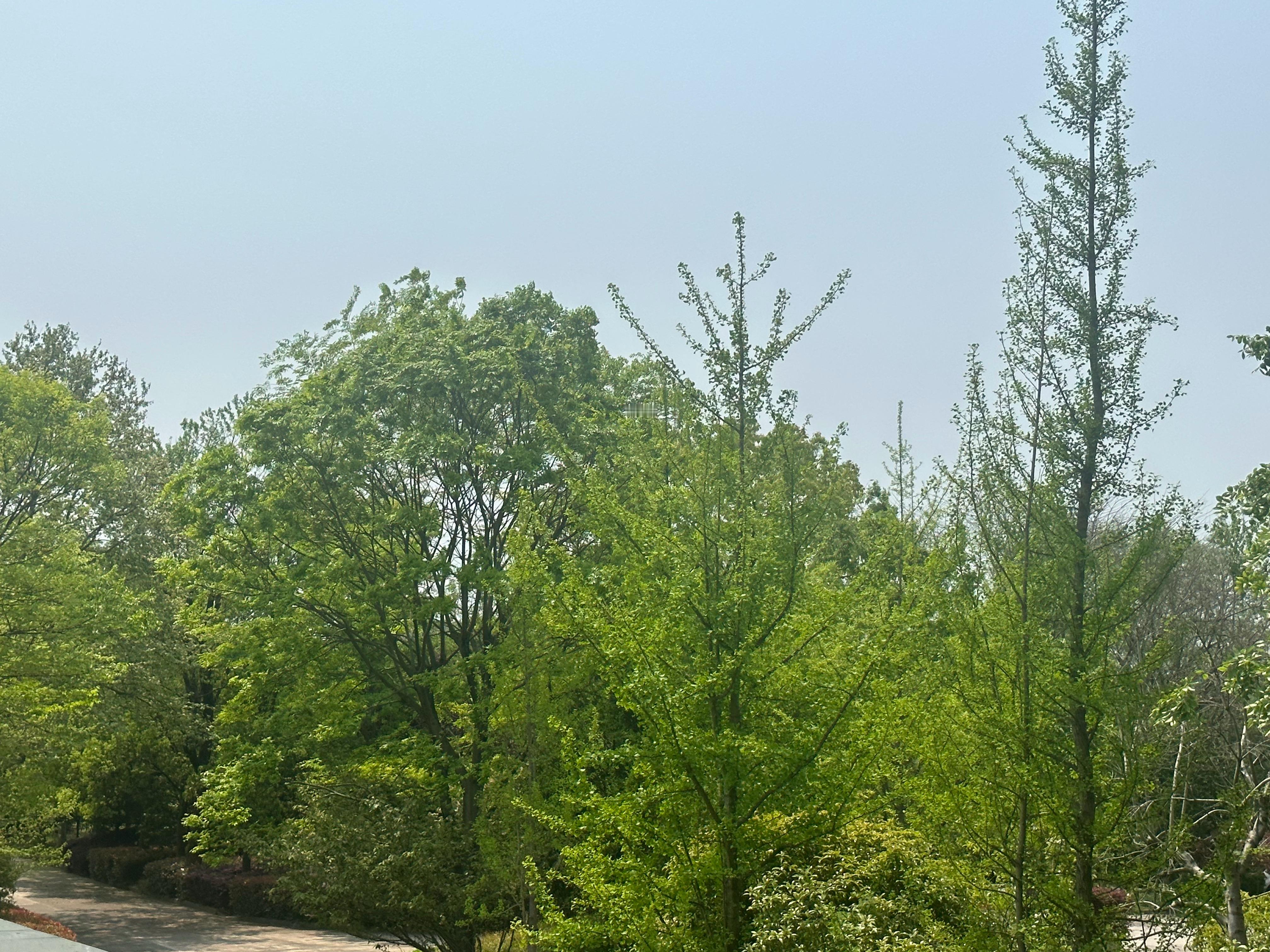 还没开始减肥，夏天已经到啦 