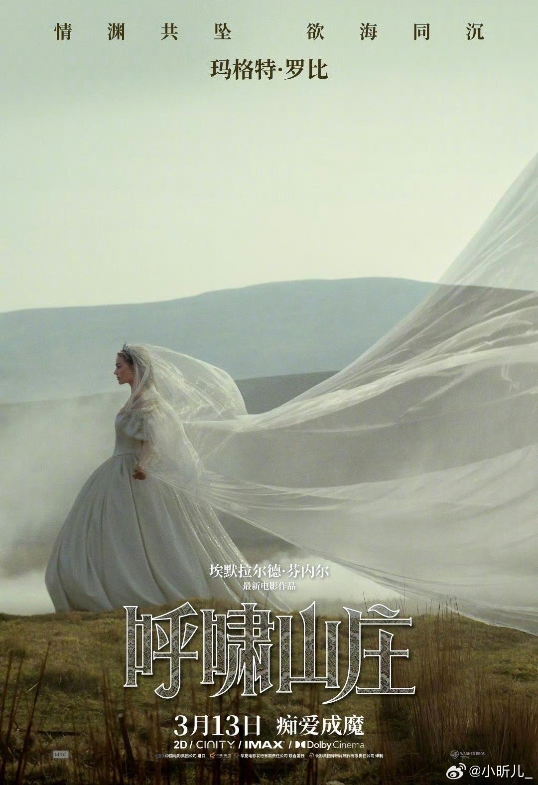 玛格特罗比的银幕表现力彻底被玛格特罗比圈粉！她演什么像什么，不管是女王、花滑选手