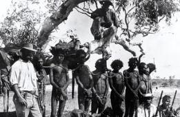 1920年，一支西方考察队前往南美洲热带雨林进行考察。走着走着被两只巨猿拦住了去