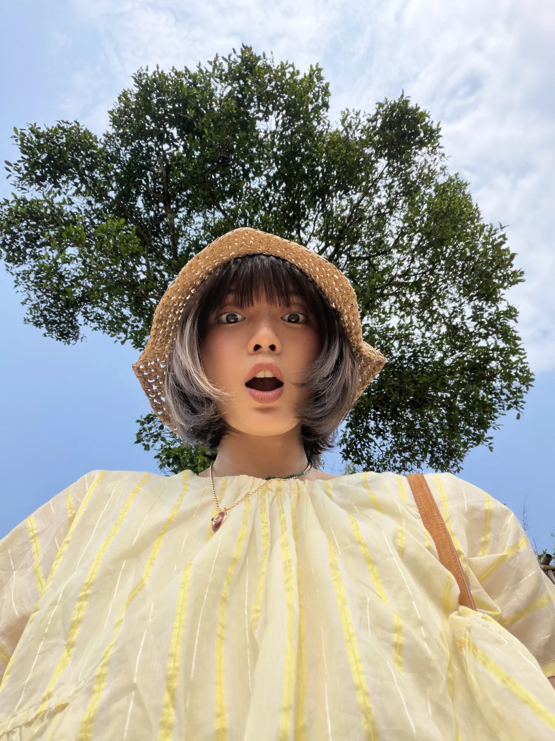 有人问我：树有什么好拍的？🌳