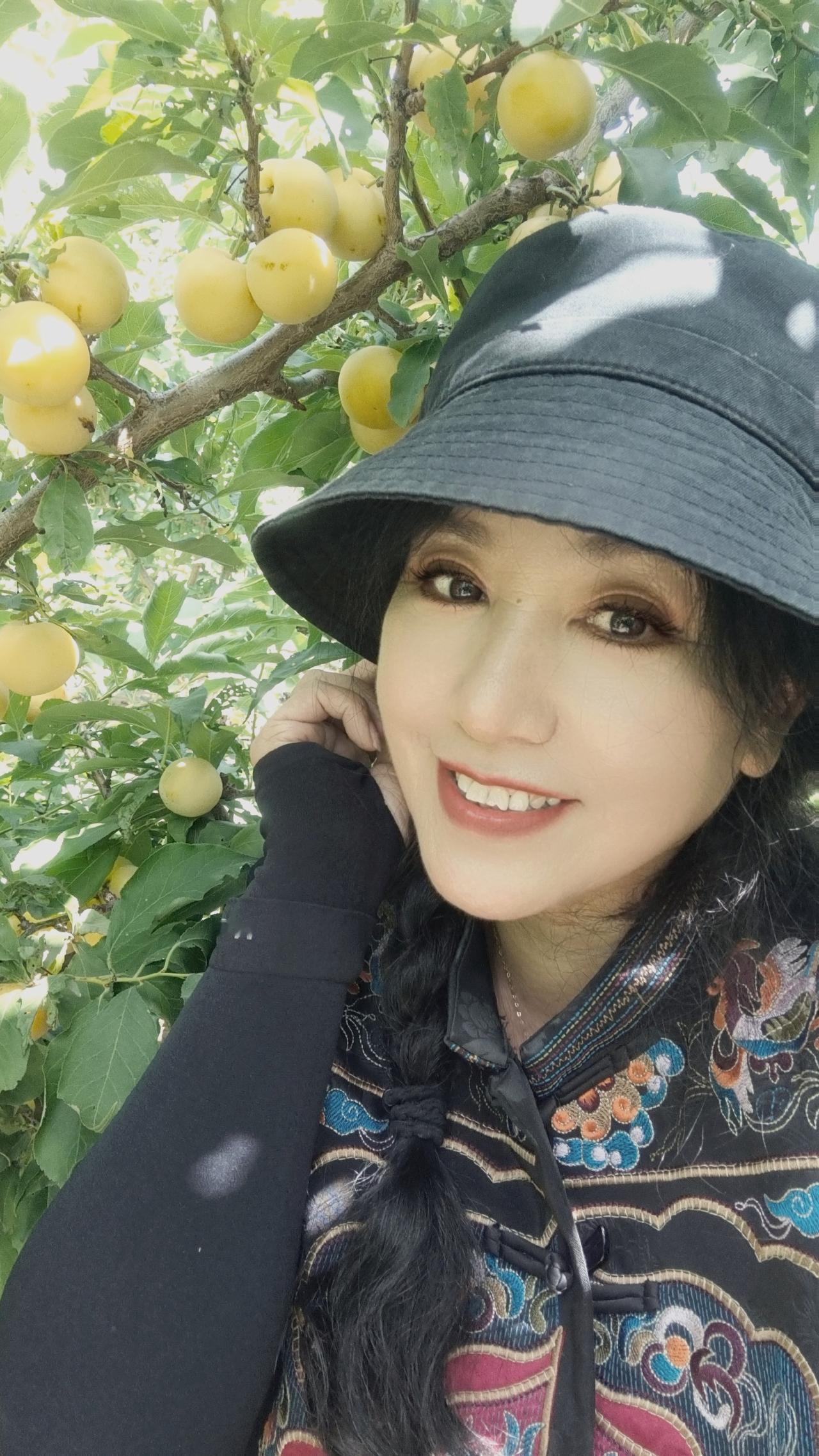游园观李——LaMa娟
 
晴天翠叶覆枝长，满树圆李泛柔光。
浅黄凝润含轻粉，嫩