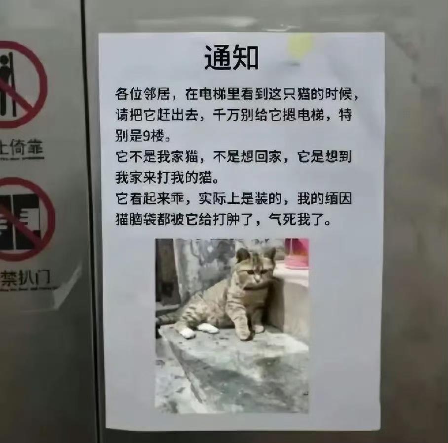 不提醒还好，这一提醒接下来大家会不会故意帮它摁九楼？
