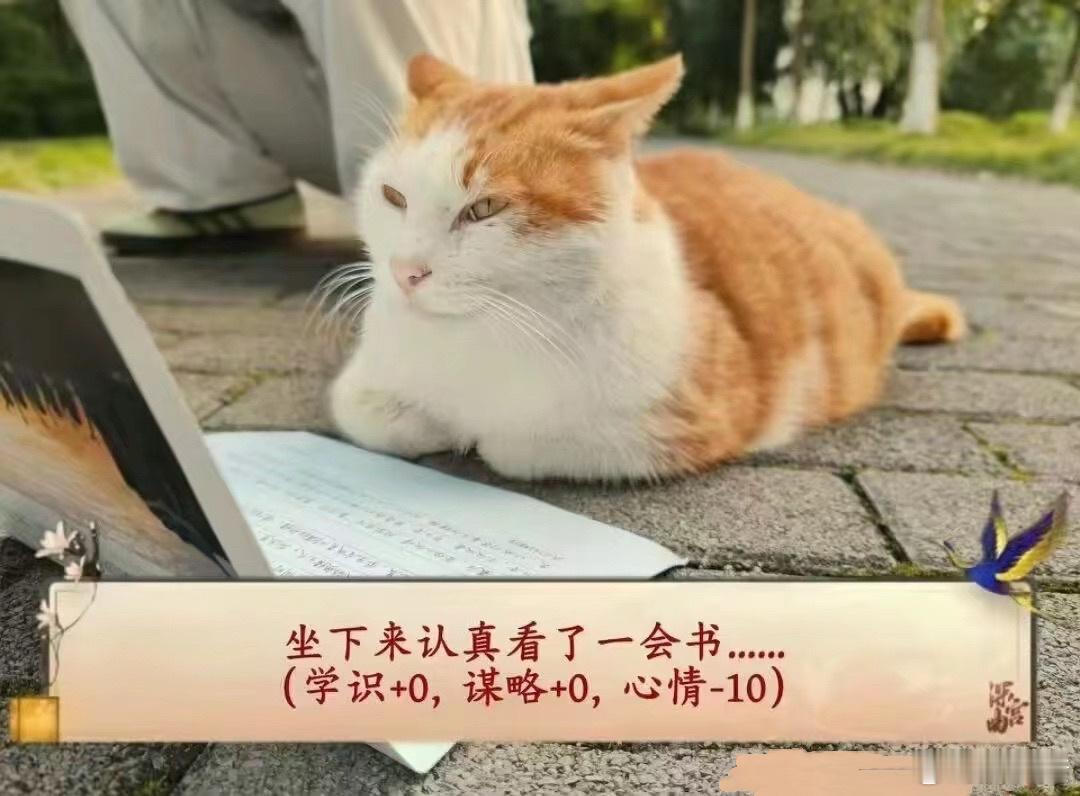 我就这样 