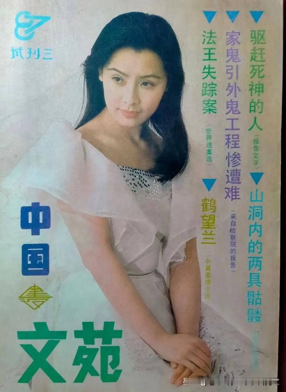 书橱角落〔张恨水文言小品〕