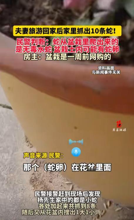 云南昆明，一对夫妻旅游回家，刚一开门，脸都吓白了！客厅里竟然到处都是蛇，这不知道