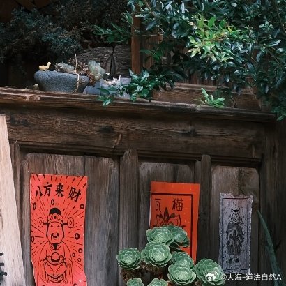 多一份包容，多一份体谅，今日善意，留给身边人。 