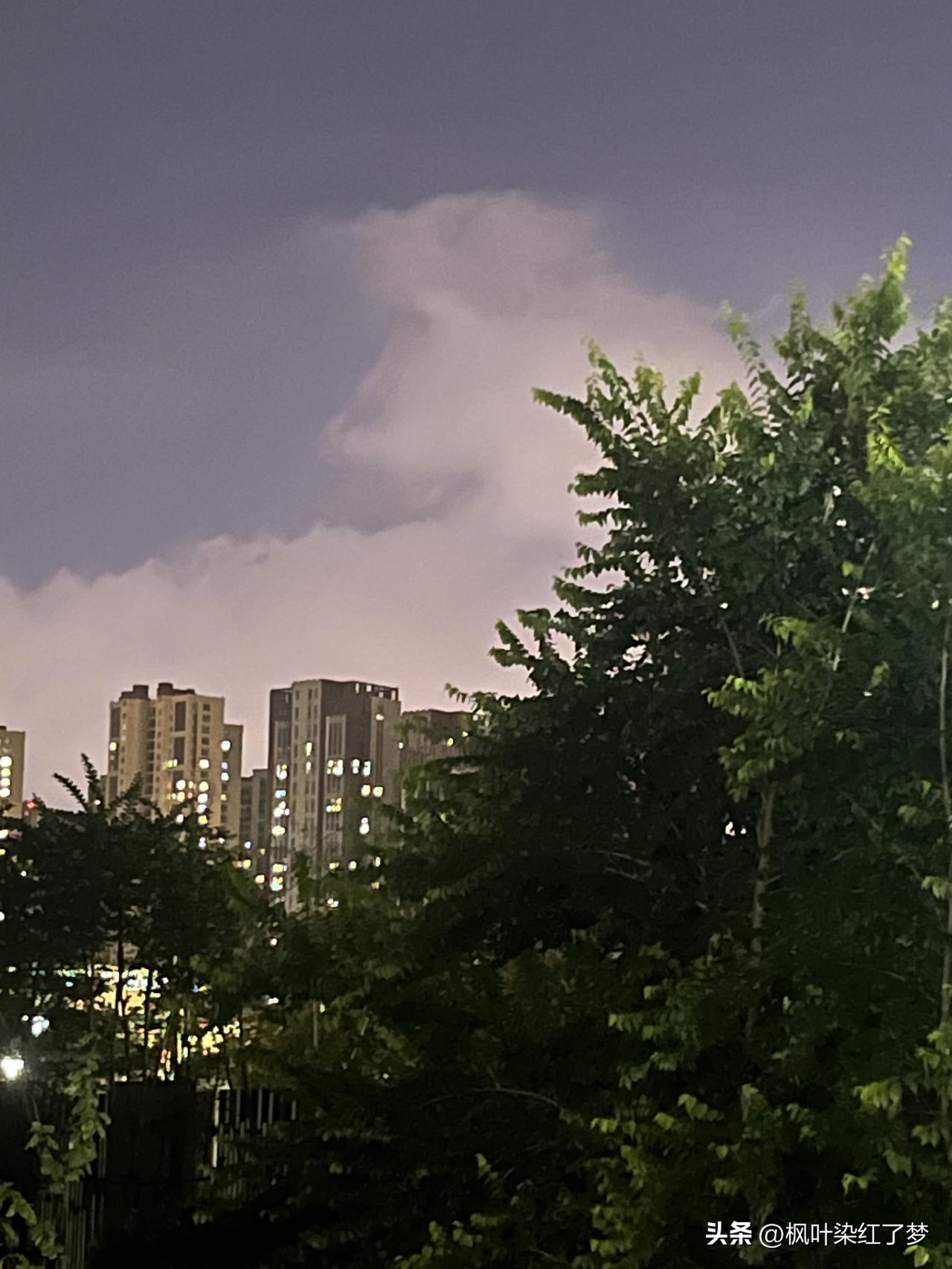 夏夜如画，凉风习习，满天繁星，诉说着静谧的美丽。