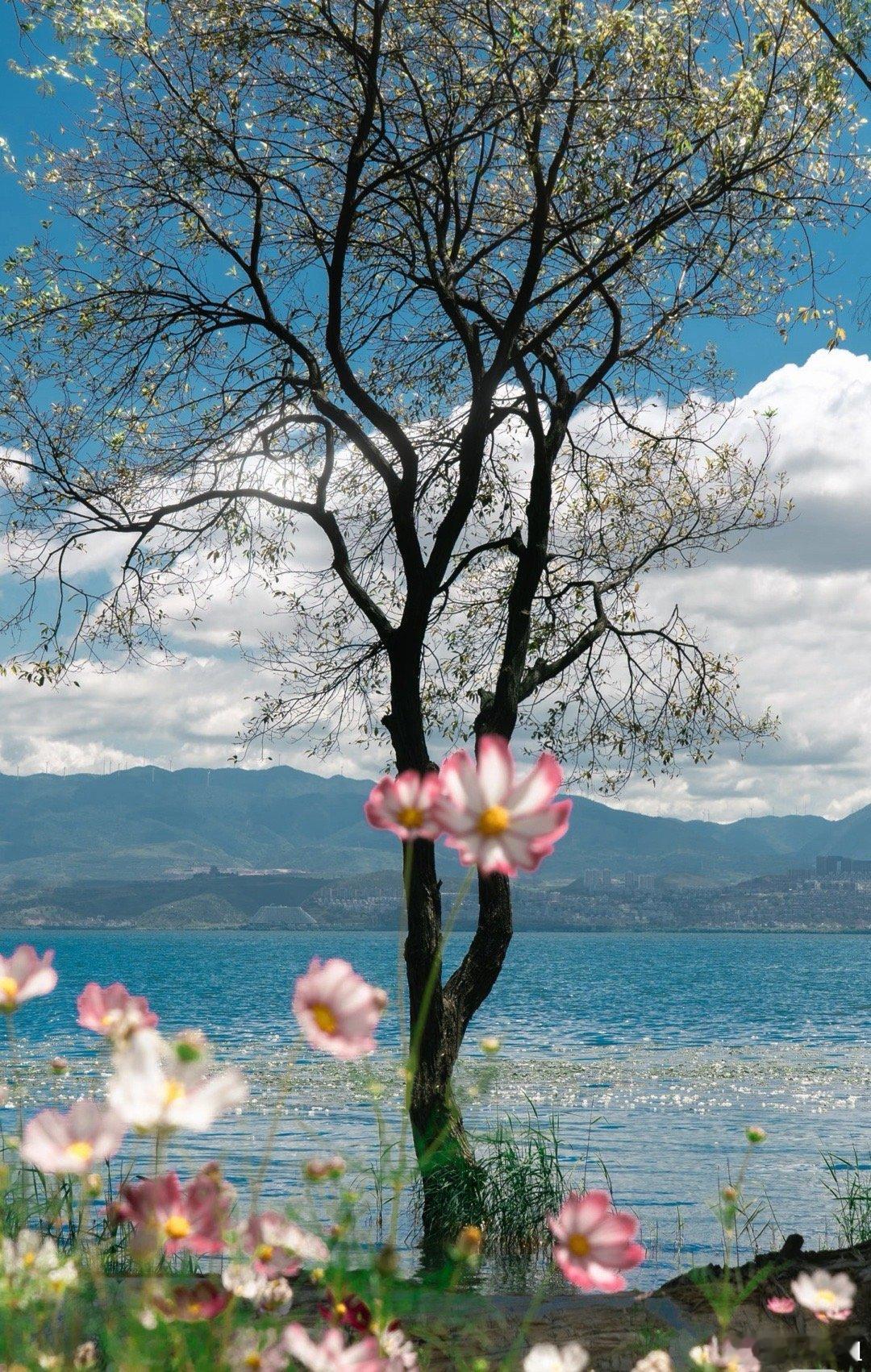 以前的年，余韵很长，总能热热闹闹到正月十五。现在的年，节奏很快，刚到初三，打工人