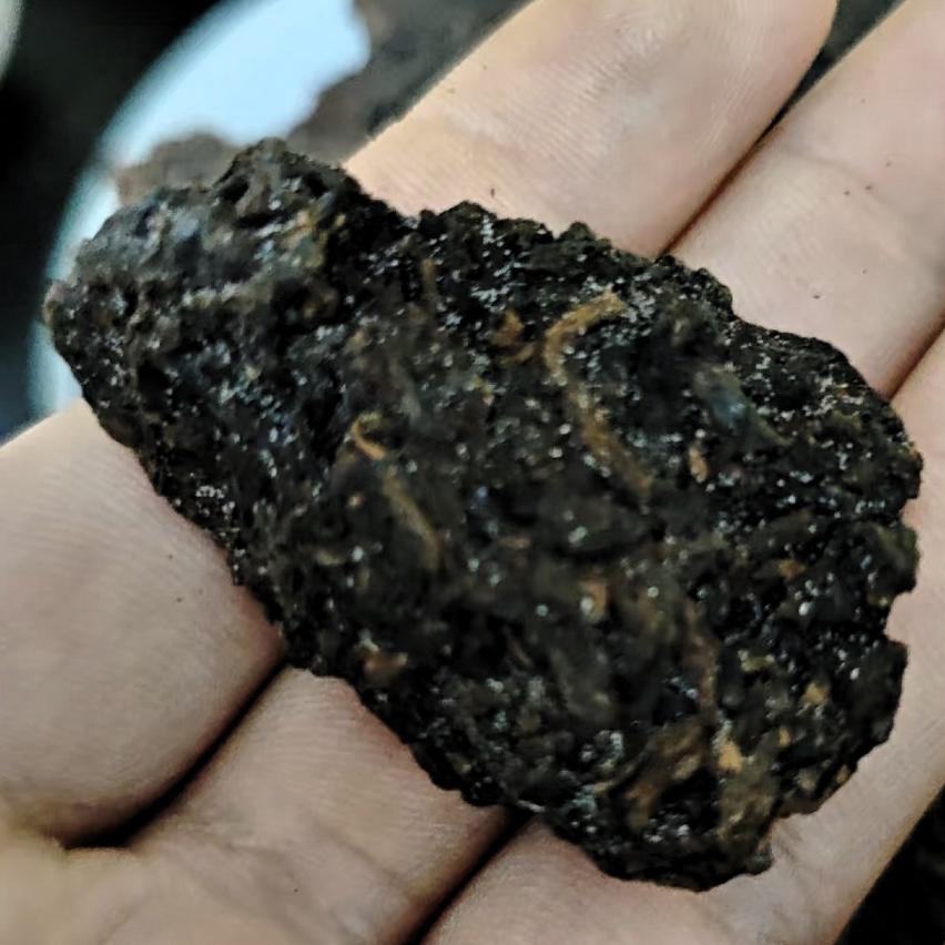 完犊子了，老茶头长“白头”了！

一场高温，废一饼普洱茶。刚拆开没多久的一饼老茶