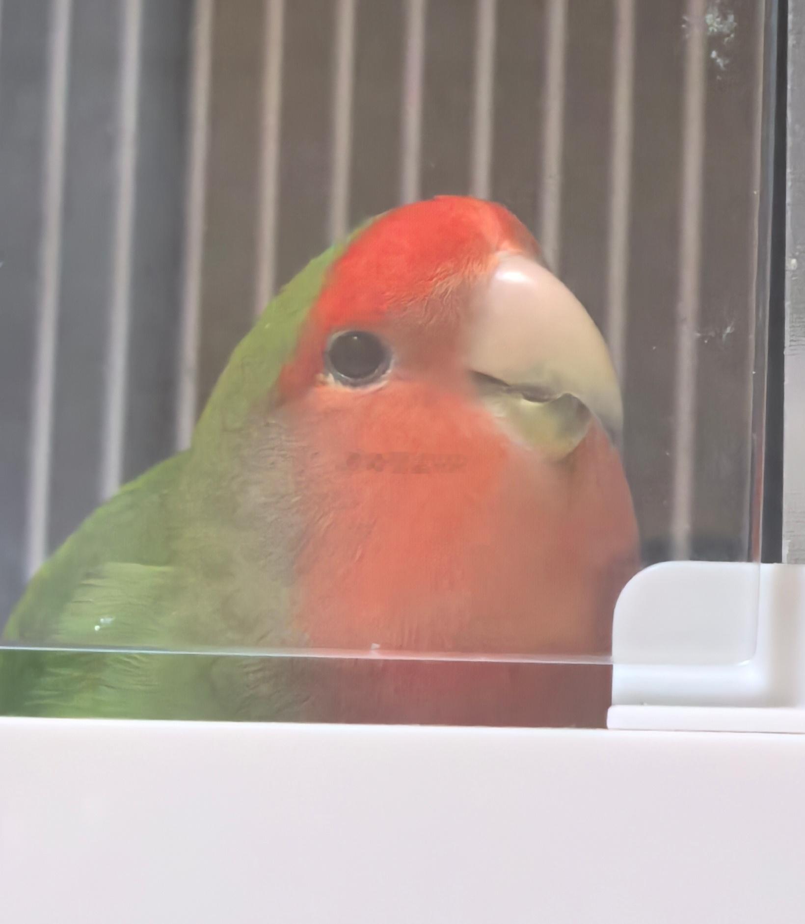 情头 