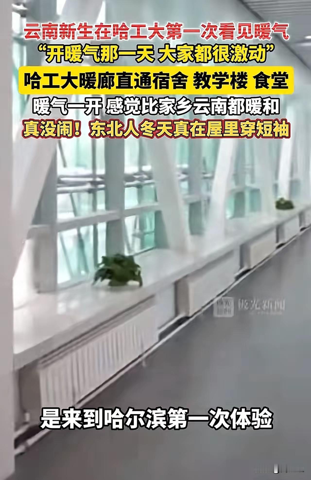 近日，哈工大开启暖气第一天，有来自云南的学生对着媒体坦言：“开暖气第一天，大家都