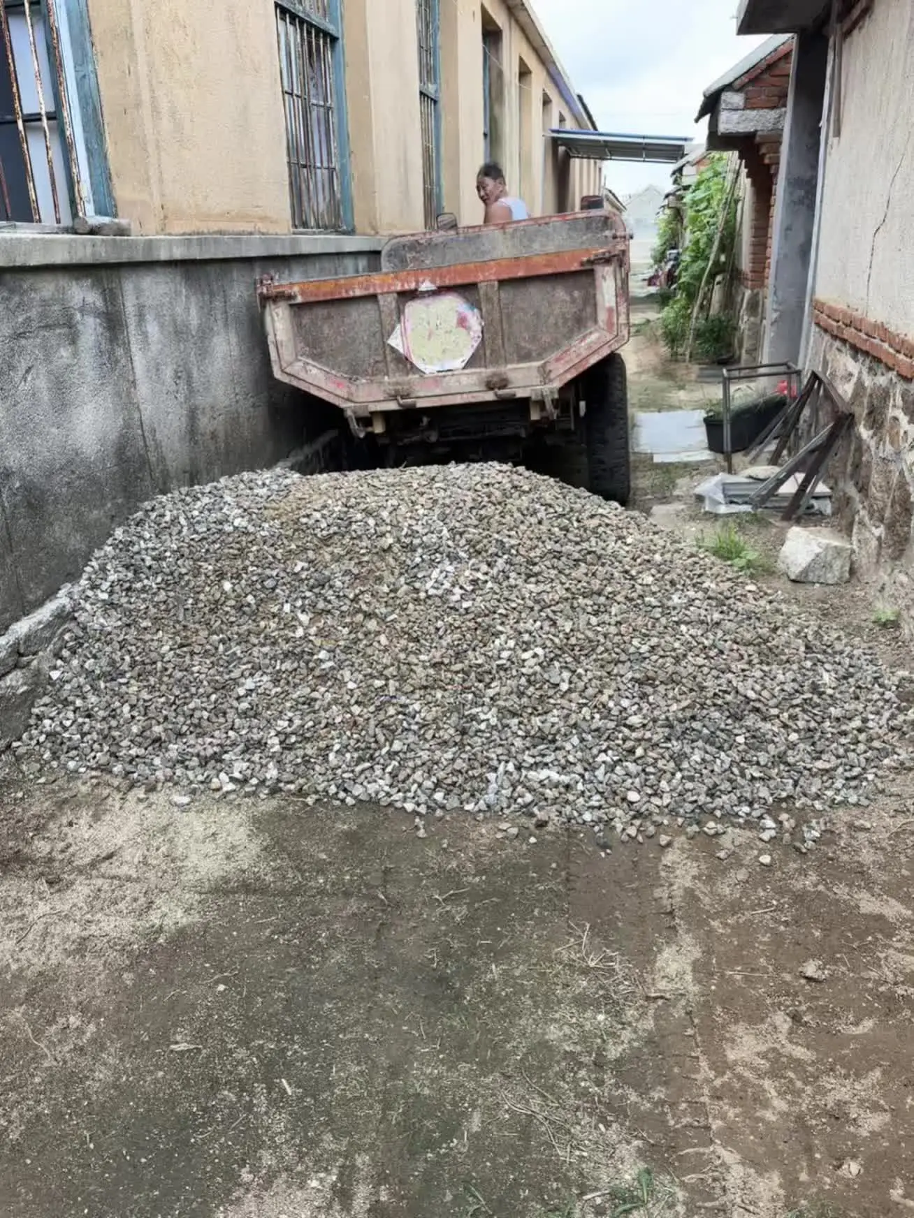 加速建设猫猫狗狗的新家园