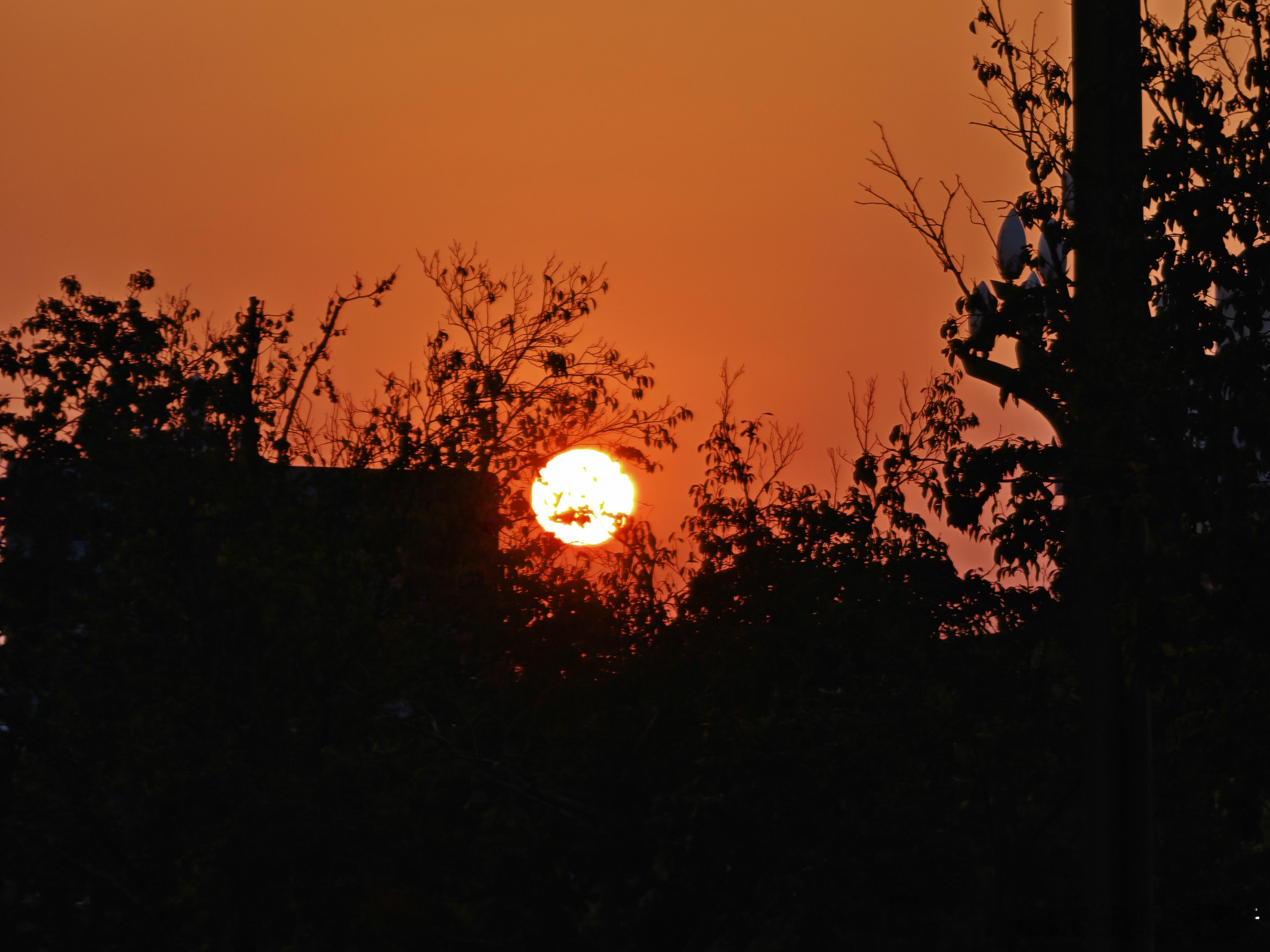 火红的太阳刚出山，朝霞铺满了半边天，公路上跑来人一个，一看还是个大帅哥！[嘻嘻]