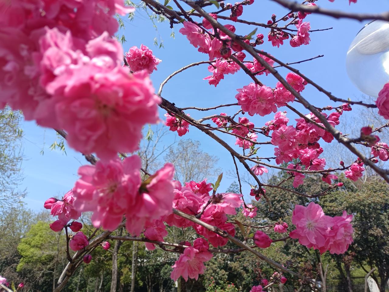 AI时代，什么才是真的