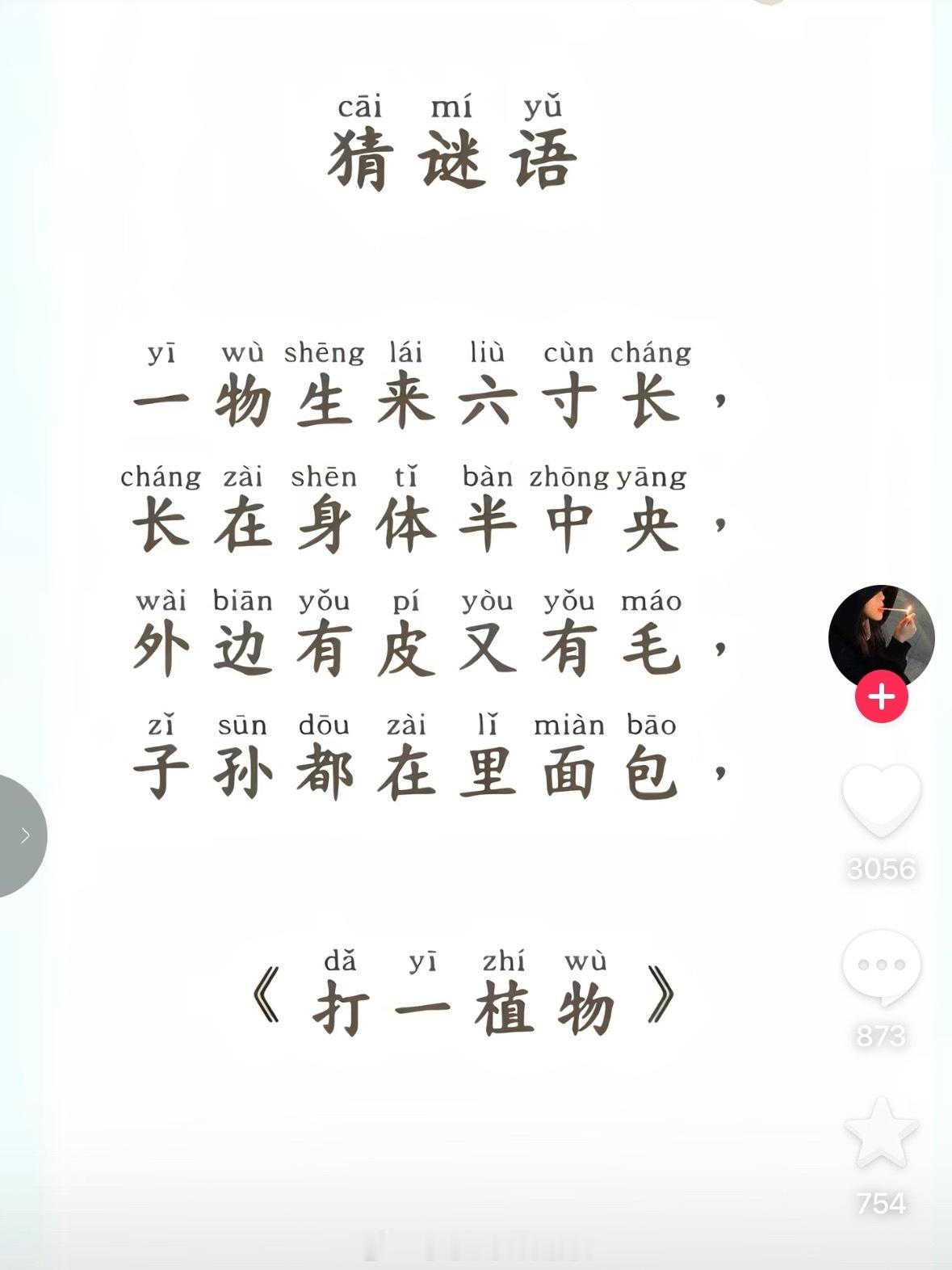 压根没想过是个植物