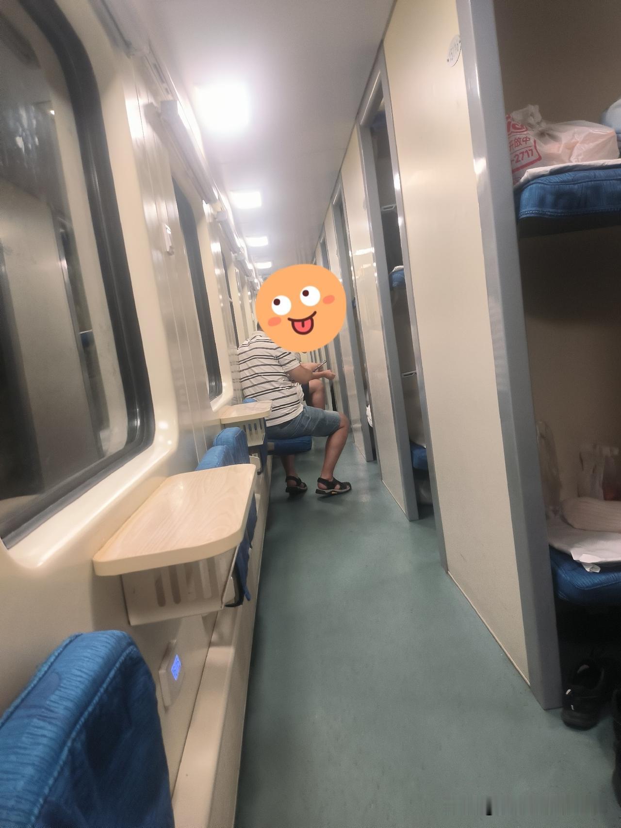 我们本可以坐高铁或飞机的。

然而，小孩非常想坐绿皮火车。

理由:可以吃喝玩！