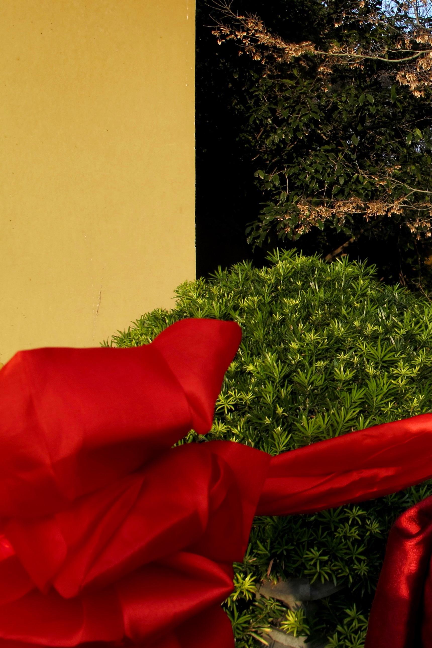 任武林谁领风骚 我却只为你折腰。