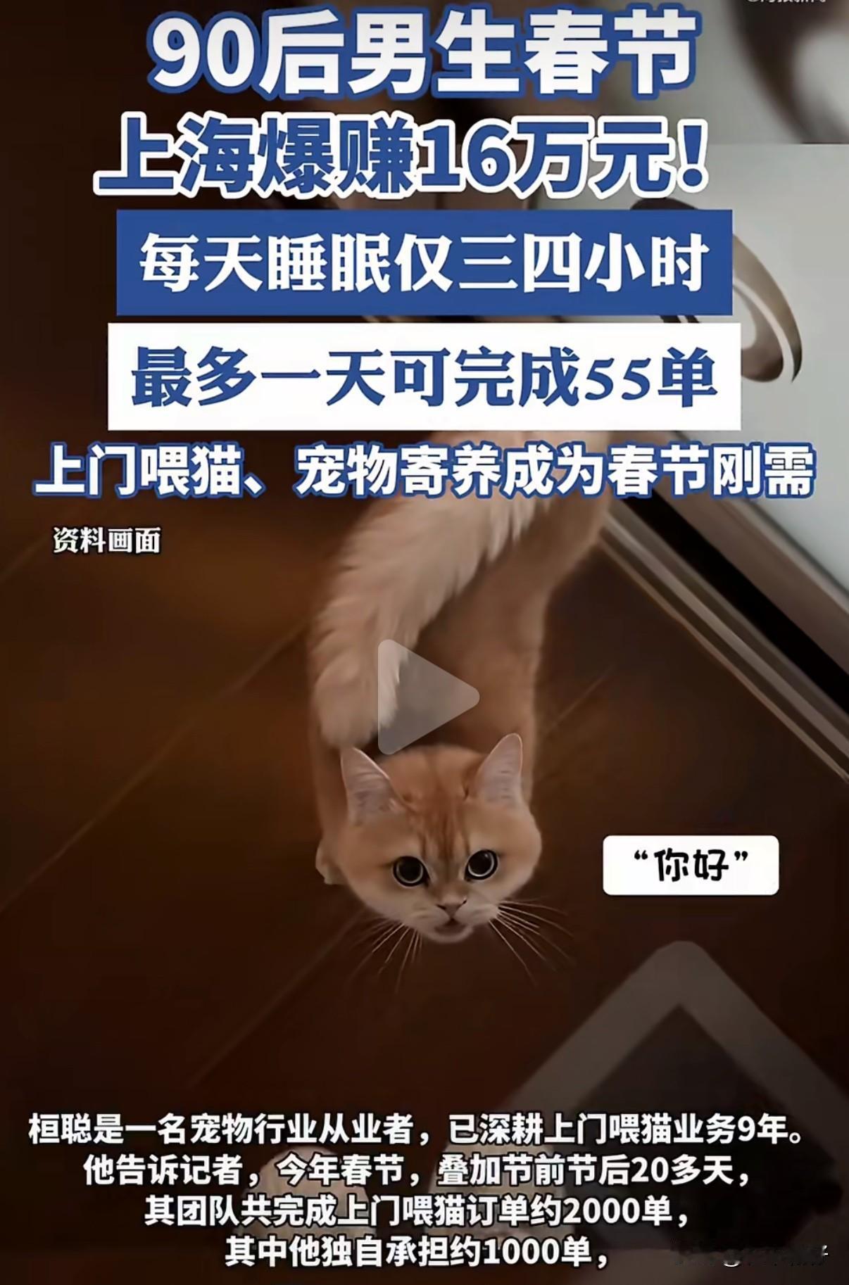 上海，桓聪是一名宠物行业从业者，已深耕上门喂猫业务9年。他带领一支5人团队，在春