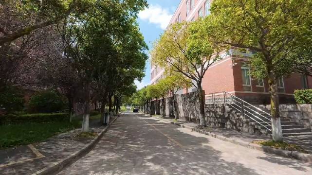 故事的开始 是蝉鸣不止的盛夏#大疆osmo360##大疆[超话]#
