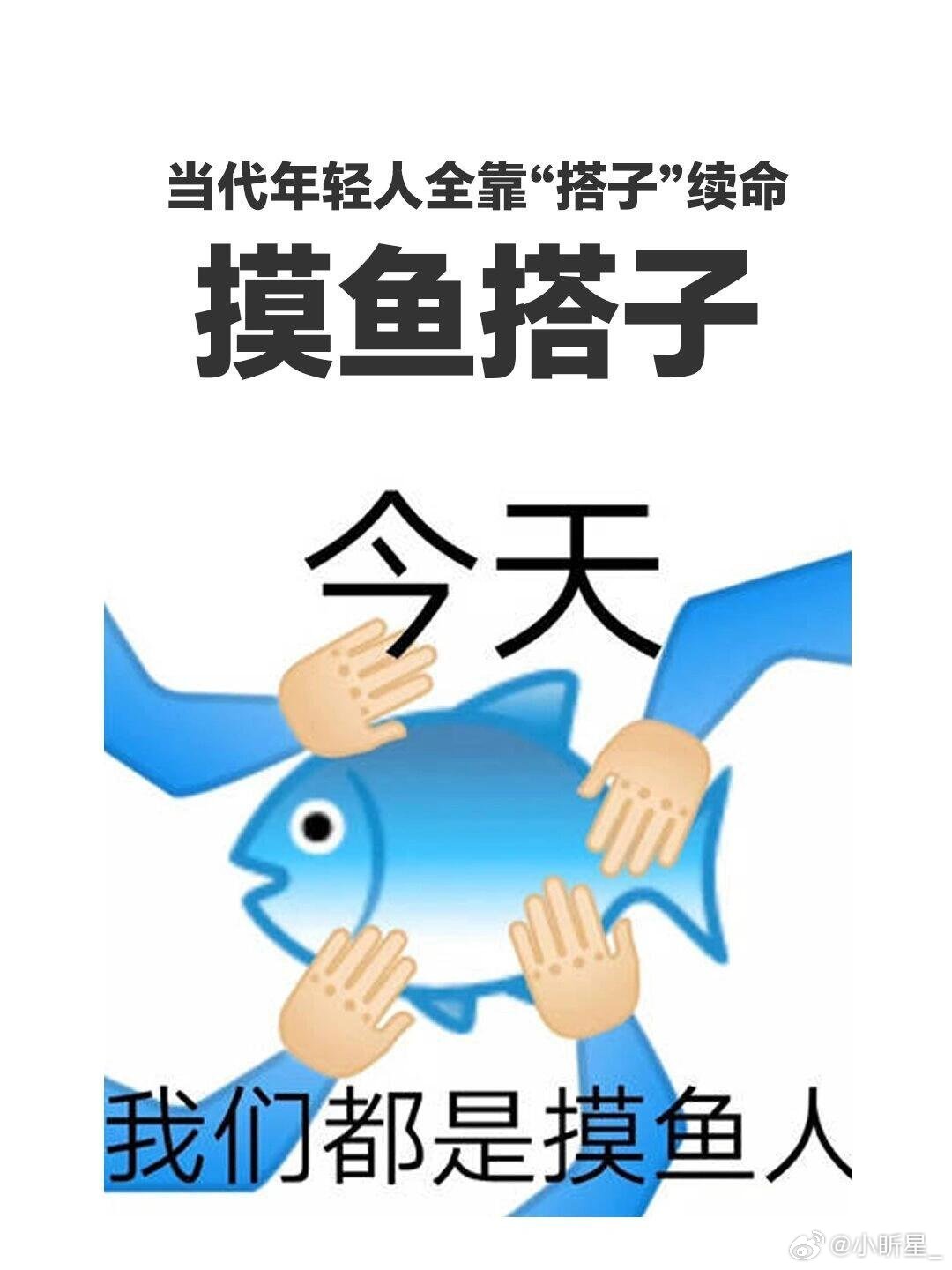 正式被确诊为办公室佛得角不再执着升职加薪，不主动揽额外麻烦，别人卷任别人卷，我只