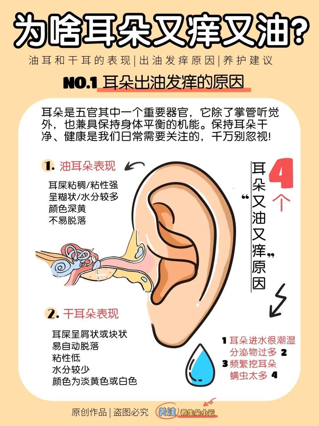 耳朵又油又痒‼耳朵进水‼附护耳养护✅