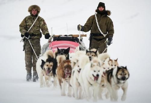 丹麦允许士兵首先对美开枪，想靠550人+狗拉雪橇，抵挡美军F-35？
 
当地时