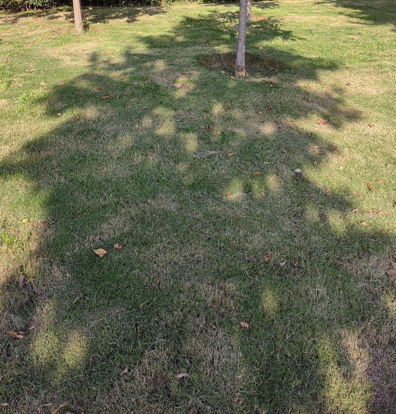 看到一视频，骂那些把父母送到养老院者“没有人性”，大谈父母养育子女不容易，应如何