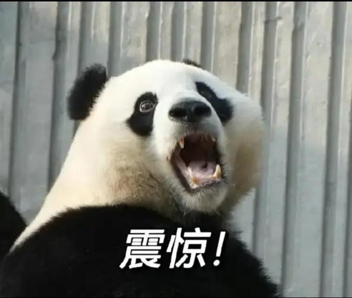 震惊！河南郑州23岁男子轻信网络邪典偏方，竟将5厘米活体水蛭塞入尿道，吸血爬行至