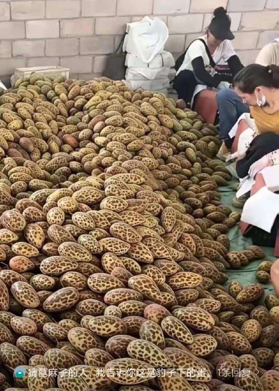 广西，一男子闲来无事去郊外闲逛，路过一仓库时，听见里面人声嘈杂，探头往里面一瞧，