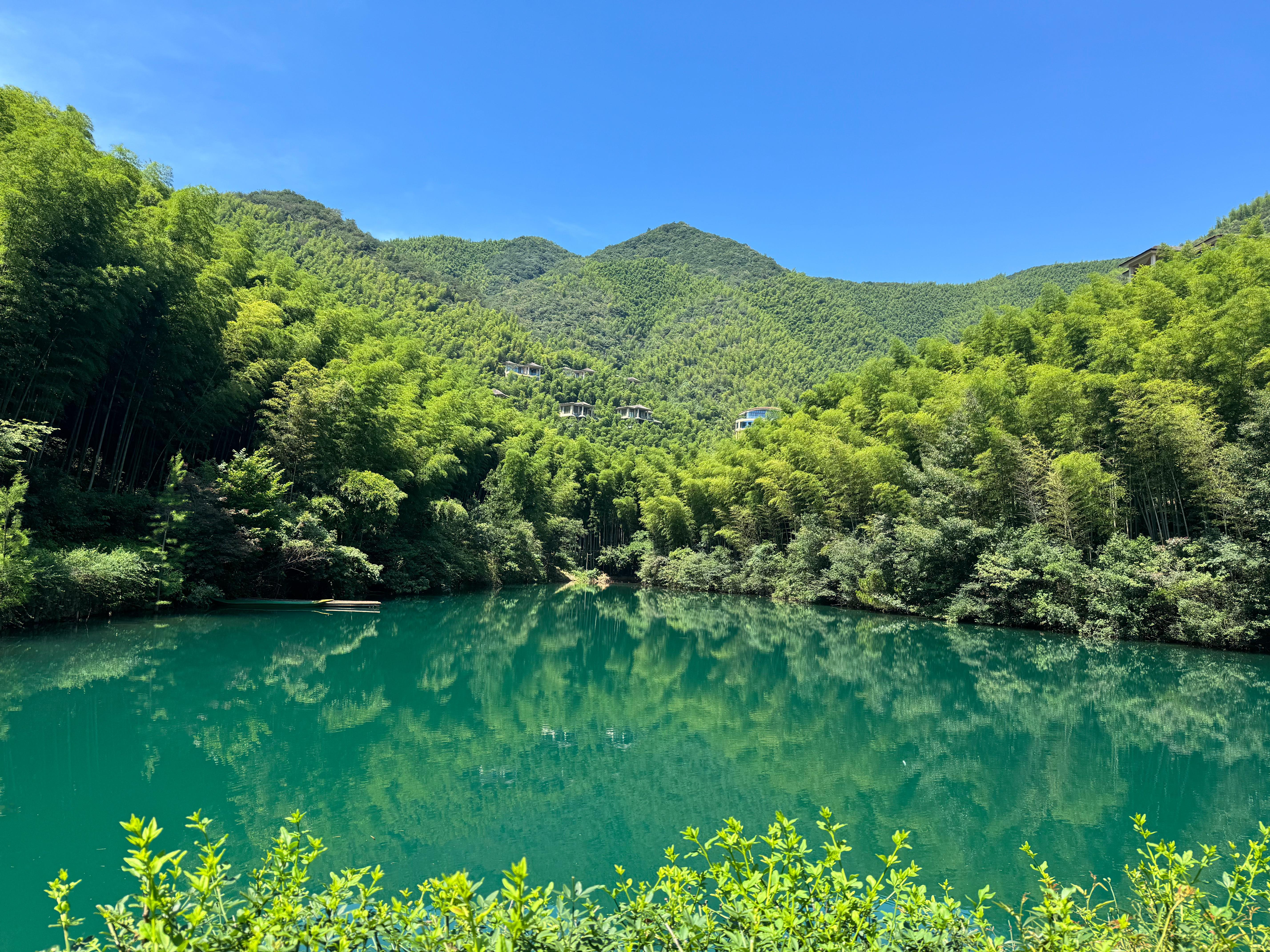 来大山里吸氧  ​​​