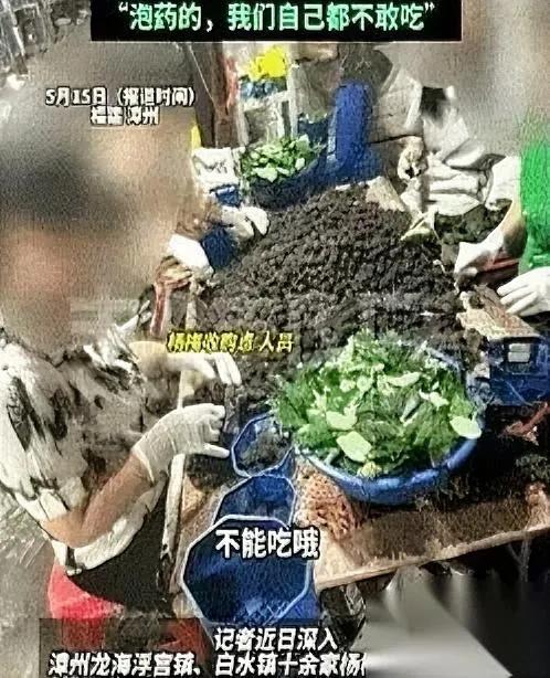 漳州杨梅这事

真的太可惜了

你敢信？就为了多赚几毛钱的差价，有人敢拿整个城市