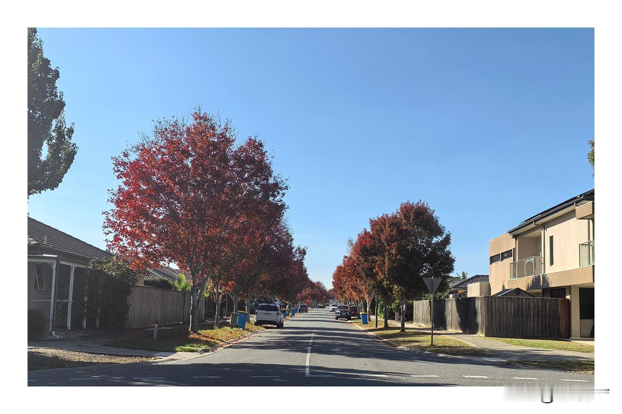 在墨尔本，我结识了一位同住一个小区的四川朋友。几番接触下来，我们都觉得彼此说话十