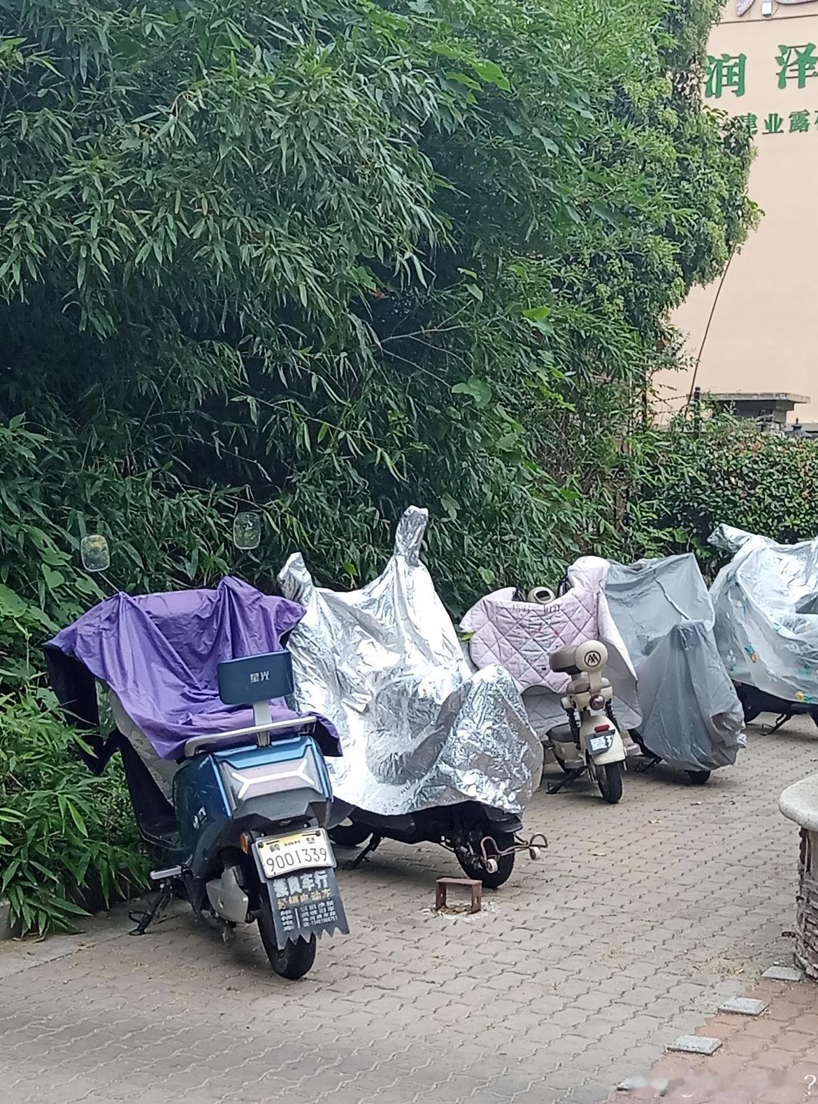 鹤壁傍晚突降小雨🌧️
 
傍晚，河南鹤壁飘起绵绵细雨，褪去白天的闷热，空气变得