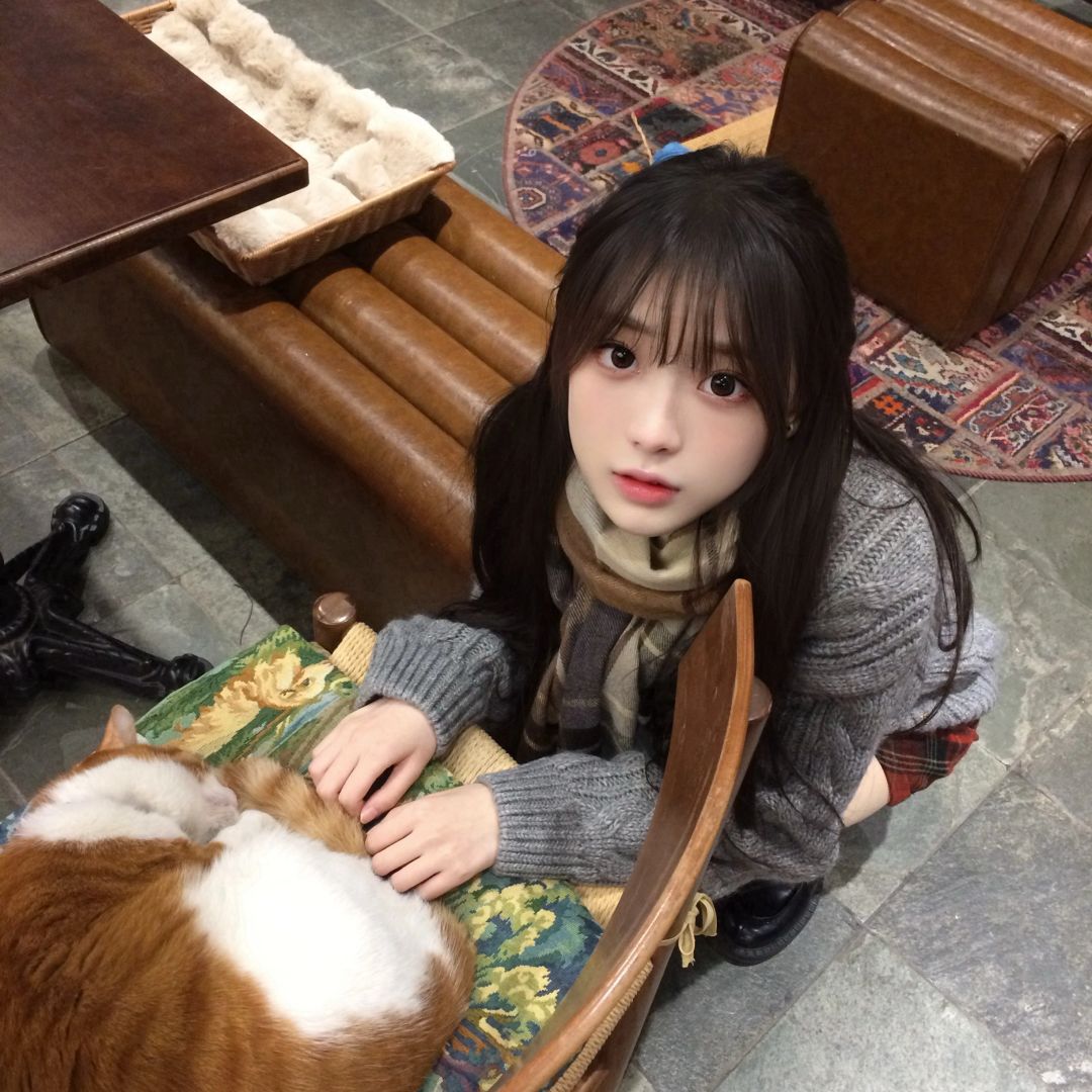 人生两大避难所 音乐与猫