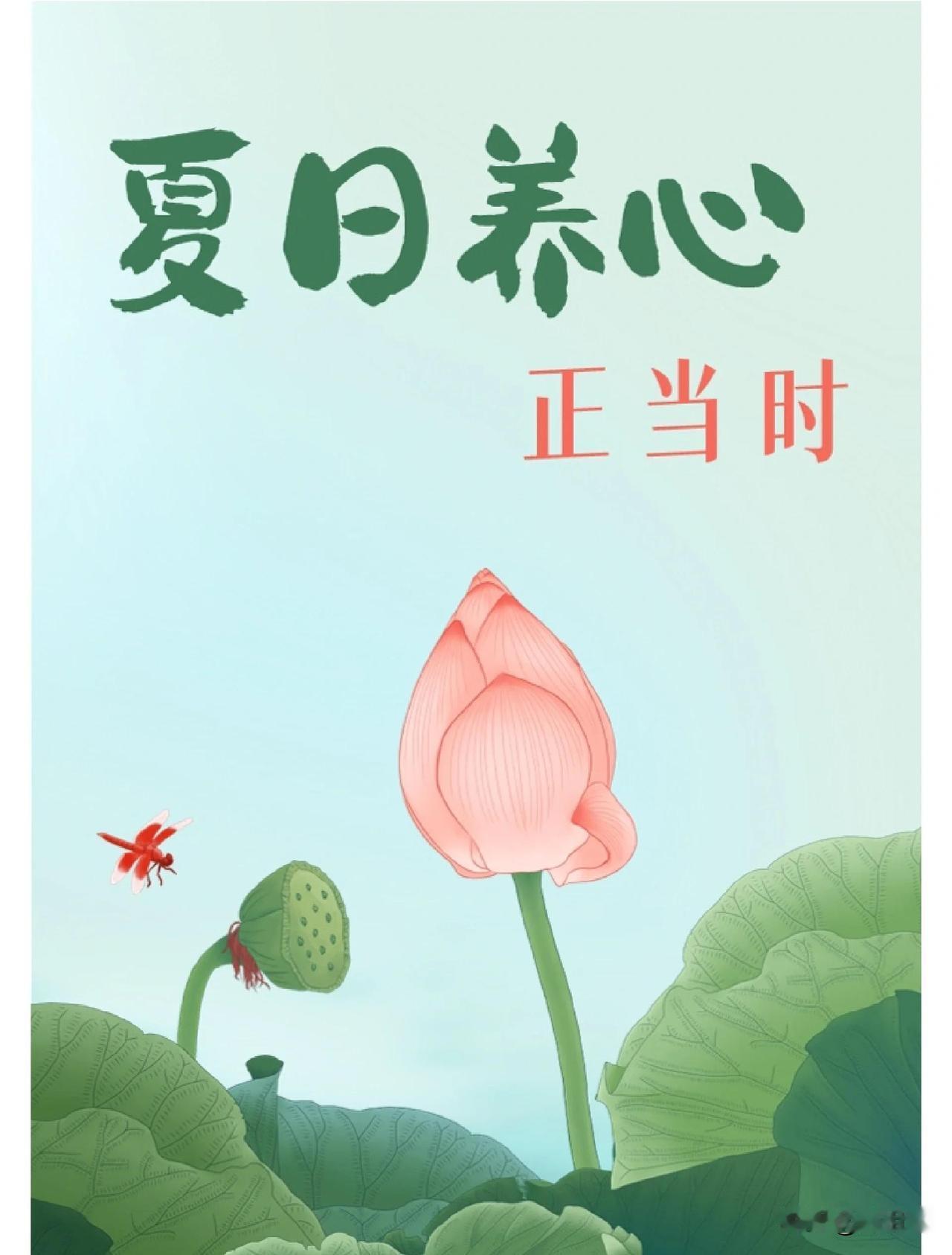 我先是煮了一锅红豆薏仁汤。一颗颗红豆饱满圆润，薏仁洁白如玉，它们在锅里翻滚着，仿