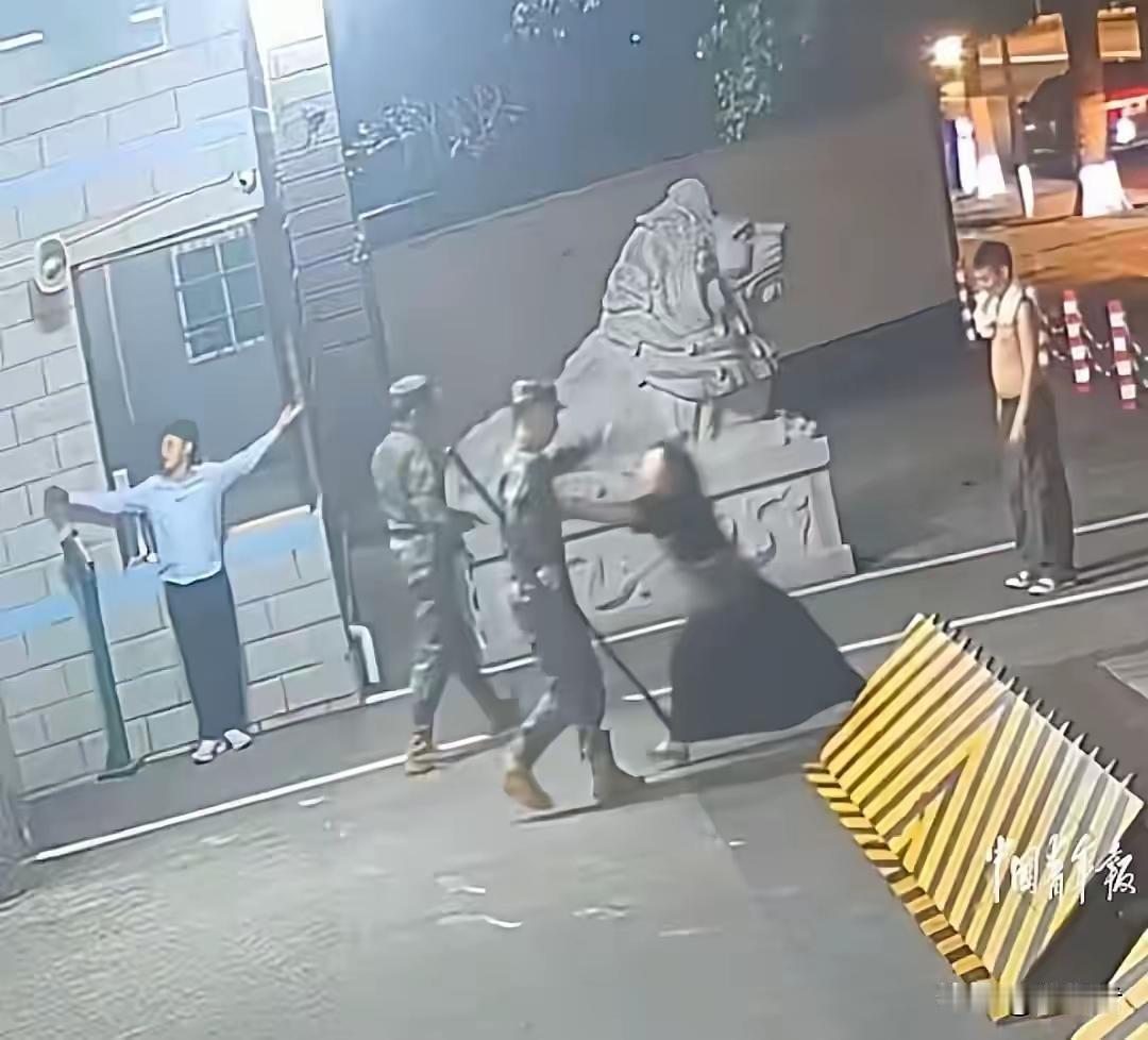 在网上一个很热的视频，主要内容是俩男人在追打一个男的，然后这个男人跑到哨兵求助，