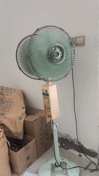 网友在一家国营老商店的仓库里淘回来一台非常罕见的老式铁皮双头落地电风扇。
这台电