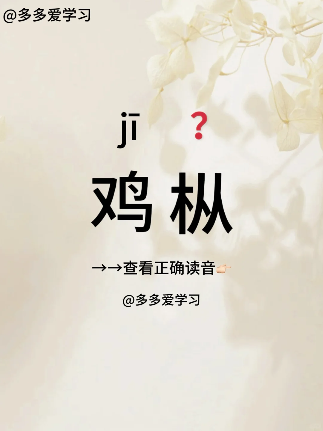 鸡枞 | 你读对了吗？ 🍇鸡枞 🍇解释：鸡枞又名鸡宗、鸡松、鸡脚菇...