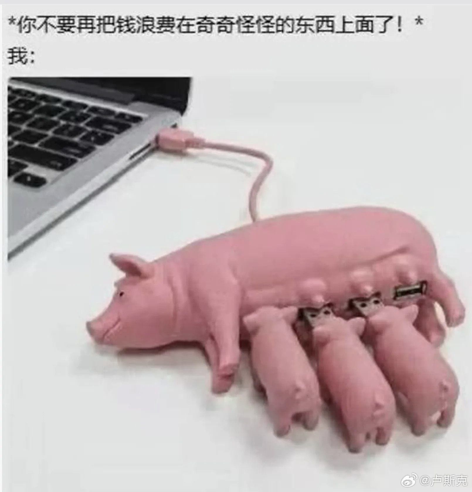 倒闭的数码厂商都应该学习一下这个！ 