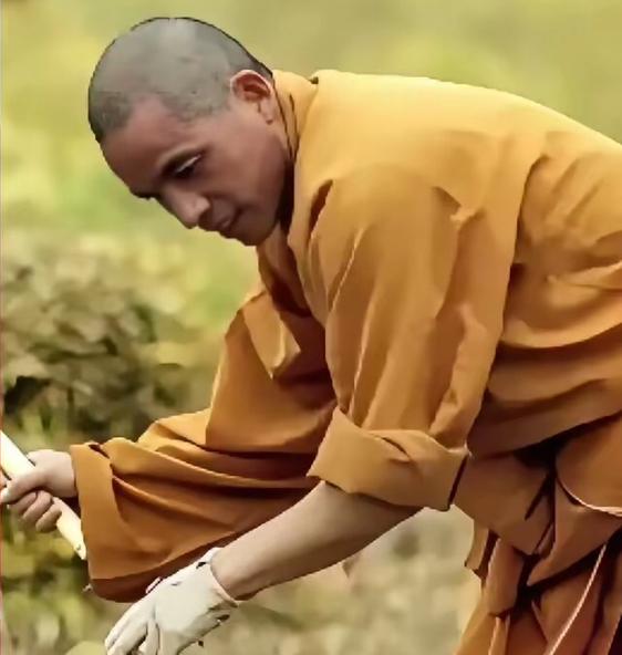 嵩山古刹的晨钟尚未敲响，少林寺禅堂已有僧人望着山门犹豫。新任住持推行“农禅并重”
