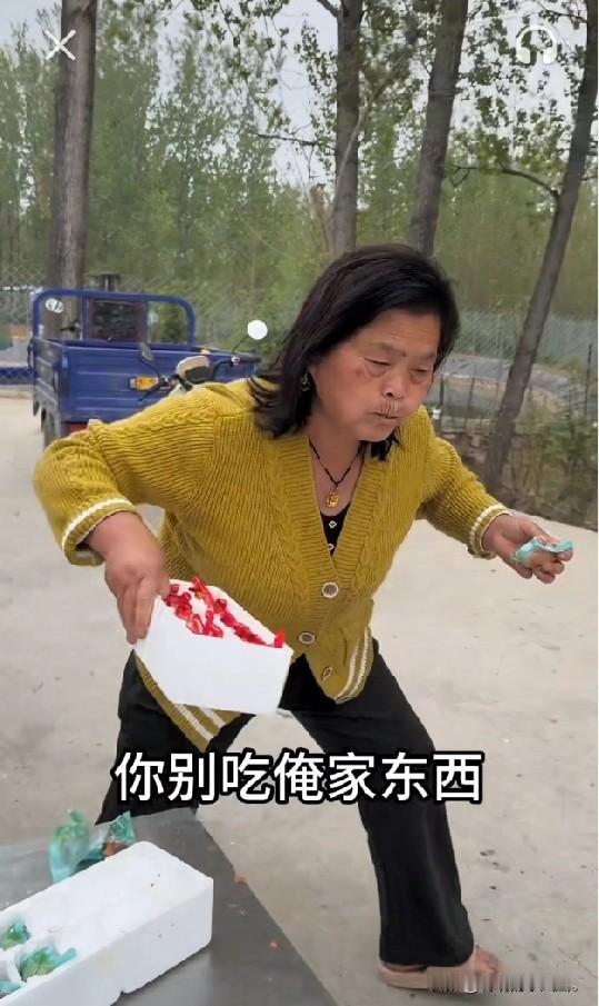 小乡村的故事！
   老壳子 这次没有白来，她一口气下吃了四个毛蛋。她边吃 边说