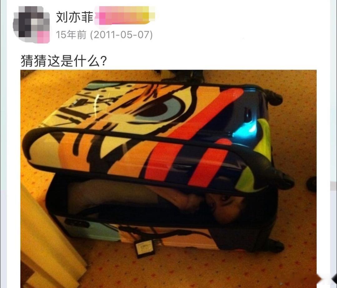 快来看这是不是菲宝刘亦菲